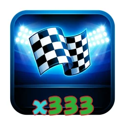x333